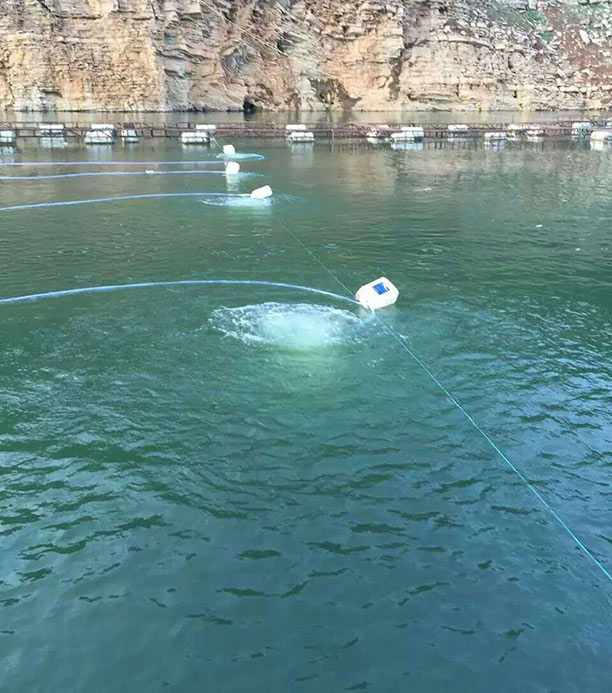 曝气增氧风机对比